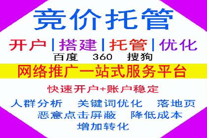 精准投放，高效转化——SEM竞价优化案例集